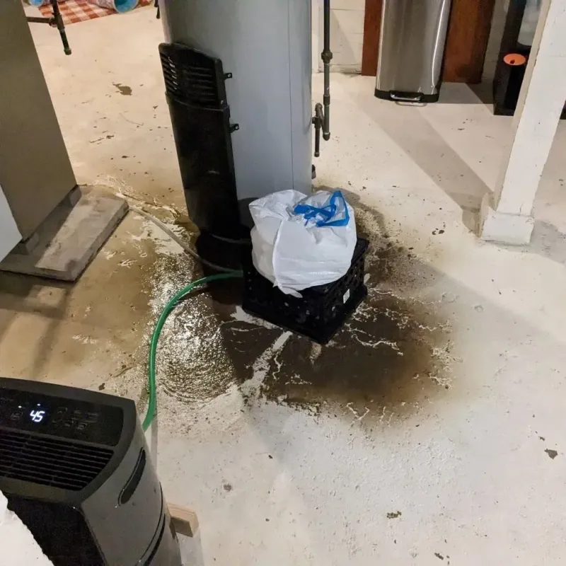 Sewage Backup Cleanup Service in Leechburg, PA